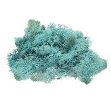 Preserved Reindeer Moss, 4 OZ Fake Moss for Crafts Blue 