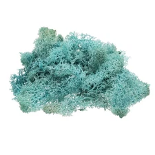 Preserved Reindeer Moss, 4 OZ Fake Moss for Crafts (Blue)