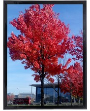 Medog 12x16 Picture Frame for Wall Black, Display pictures 12x16 Poster Frame,