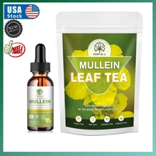 Natural Mullein Drops Mullein Leaf Tea For Lung Cleanse Respiratory Health