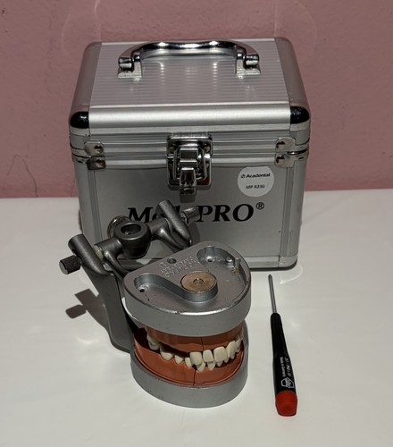 ModuPRO Typodont MP R 230 Acadental Scale with 25 Teeth Case and Screwdriver