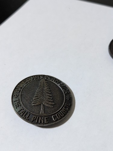Boy Scouts Of America The Tall Pine Council fazzoletto da collo scivolo e fibbia per cintura - Foto 10 di 11