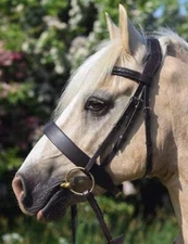 Adams-Tack Hunter Bridle with Braided/Plaited browband & leather side grip reins
