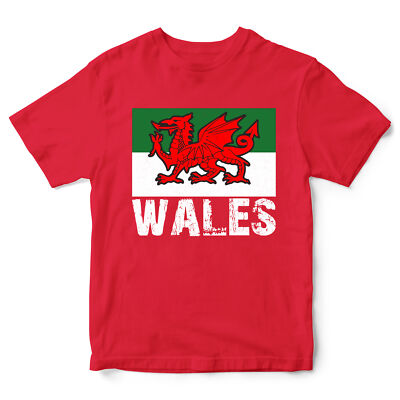 T-Shirt Wales Flagge Kinder Geschenk Rugby walisisch Cymru St Davids Day Tee Drache Junge Mädchen