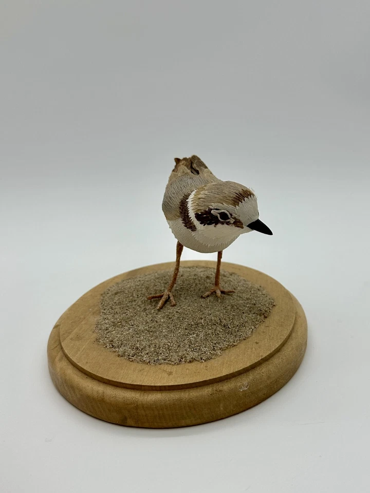 Chorlito nevado occidental taxidermia vegano 2008 - Aimée Baldwin Foto 3 de 4