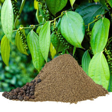 Black Pepper Powder  100 Pure Natural Organic Peppercorns  Premium Spices