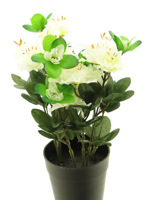 Künstliche Azalea Azalee Azalien Rhododendron im Topf ca. 28cm creme Kunstblume