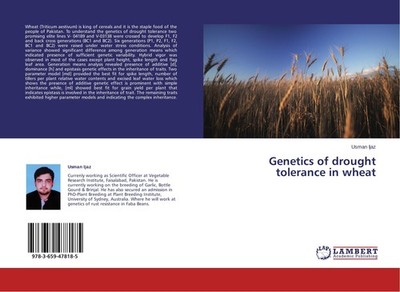 Genetics of drought tolerance in wheat Usman Ijaz
