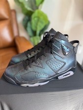 NIKE AIR JORDAN 6 エアジョーダン6 カメレオン　オールスター 今月の収穫】『エアジョーダン6 オールスター カメレオン