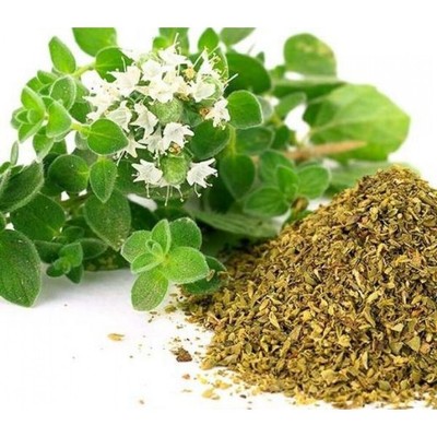 Aromatic Greek Mountain Thyme: Premium Quality Oregano- 500 gr - Harvest 2024 