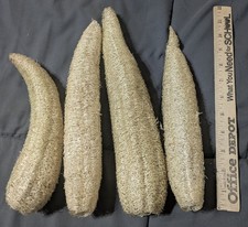 Home Grown in Texas Natural Luffa Loofah Chemical Free Unbleached Sponge Bath