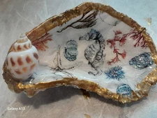 Decorative Trinket/Jewelry Decoupage Oyster Shell Coastal Decor Art Gold Trim