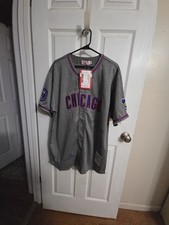 Ernie Banks Signed "Mr. Cub" 1968 Jersey Mitchell & Ness JSA IL Sesquicentennial
