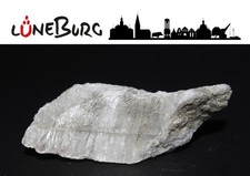 Gipskristall aus Lüneburg / Germany - (Selenit I Gips I Marienglas) Nr. 007