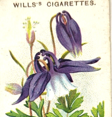 Wills's Cigarettes Tobacco Trade Card Alpine Columbine ''A'' Series of 50 / #42