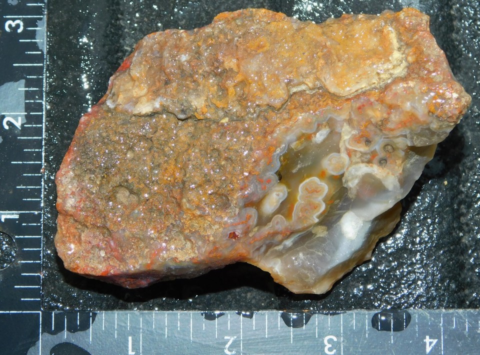 tube Banded Plume Agate lapidary cabbing rough chunk San Carlos Mexico