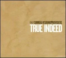 True Indeed by Surreal & The Sound Providers: New