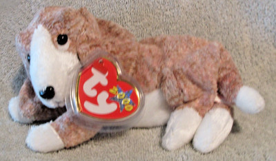 Ty Beanie Baby Sniffer the Dog DOB May 6, 2000  MWMT Free Shipping
