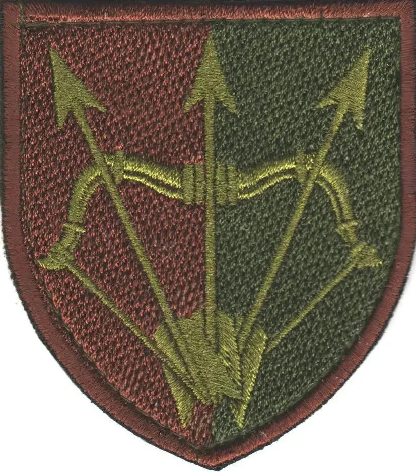Patches of Various Ukrainian Army Units (Chevrons) 2014-2026