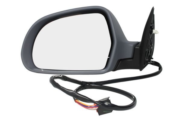 Left BLIC 5402-04-1121564P Exterior Mirror for SKODA