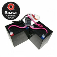 Razor W25143490003 Crazy Cart Scooter V5 Battery w/30 Amp Fuse Genuine