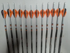 12-Easton Axis SPT Sport 300 5mm Carbon Arrows w/ Blazer Vanes & Steel Half-Outs