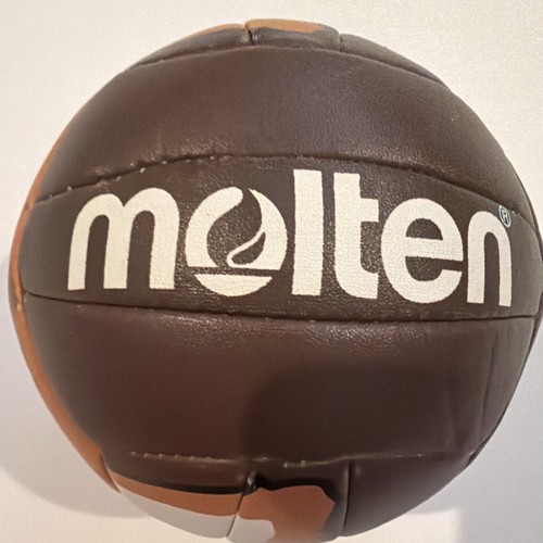 Molten Dog Face Mini Volleyball Cute Puppy Kids Recreational Beach Ball