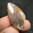 Foto 5 di 7