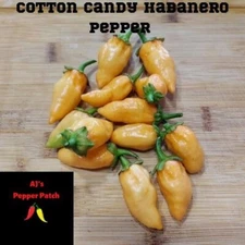 (12) Cotton Candy Habanero Pepper seeds