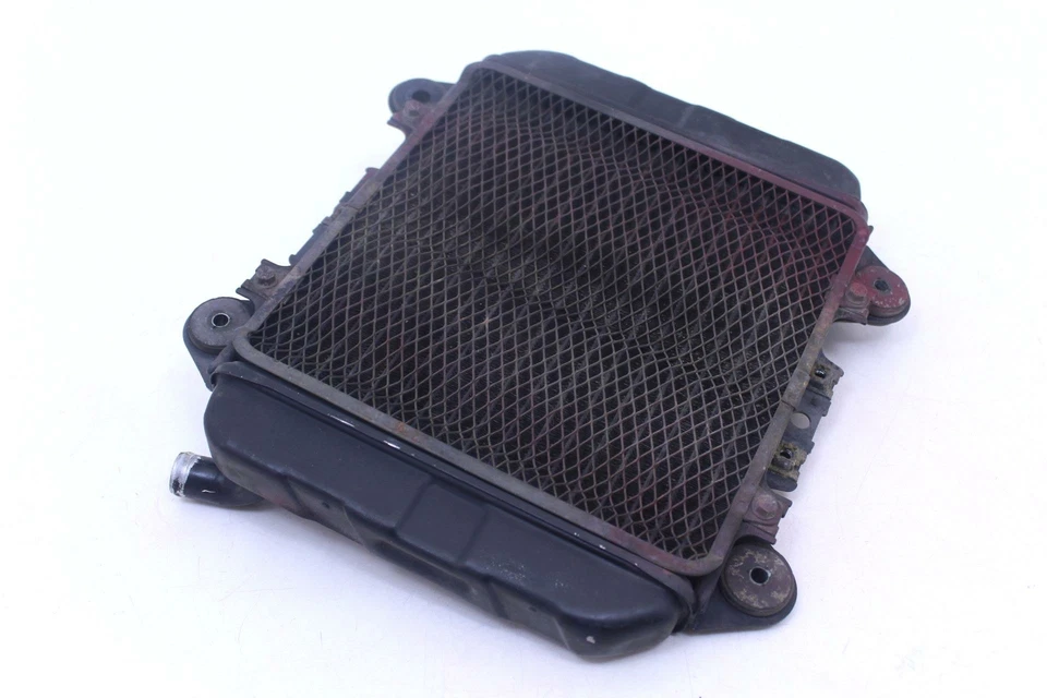 Kawasaki Ninja 250R 1993 fabricante de equipos originales radiador motor enfriador R5.BX16 Foto 2 de 4