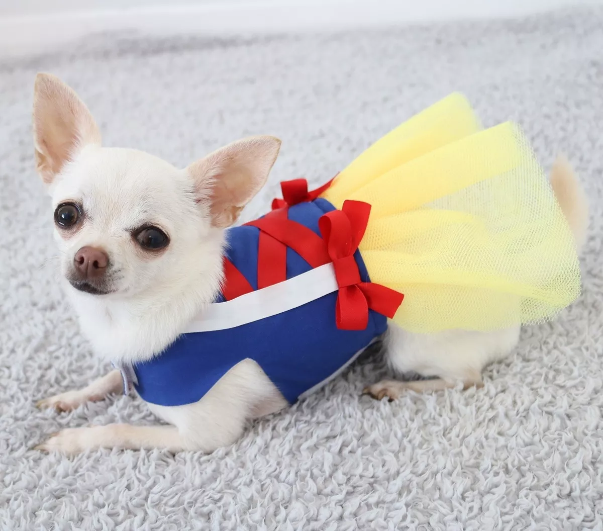 Small puppy cheap dress