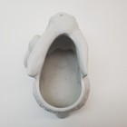 Foto 7 di 19