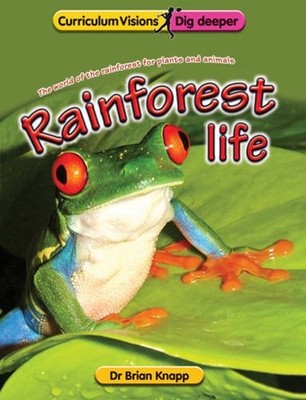 Rainforest Life,B. J. Knapp