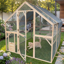 Katzengehege Outdoor XXL Katzenauslauf Groß für Draußen Freilaufgehege Catio