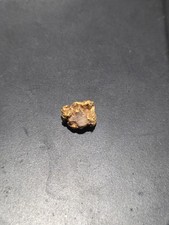 Gold Nugget specimen – 1.59 Grams – Unearthed in Victoria Australia 2677.44 per troy oz