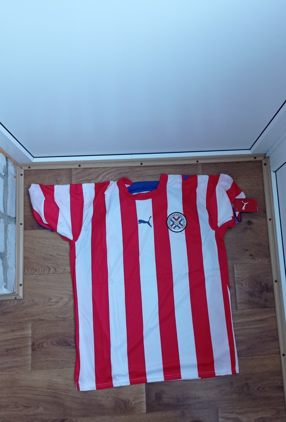 PARAGUAY NATIONAL TEAM 2006/2007 HOME FOOTBALL SHIRT JERSEY SIZE L PUMA Replica