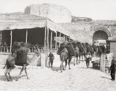 Turkey Camel Train Transporting Coal Stone Wall Archway Vtg. Photo 19thC.