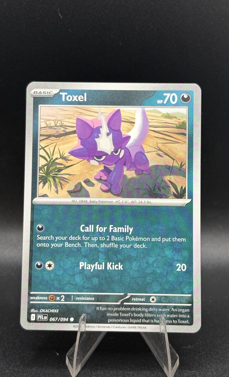 Toxel 067/094 Pokémon TCG Phantasmal Flames Regular NM/M