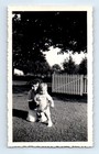 Old Vintage Photo WOMAN AND BOY IN YARD WHITE PICKET FENCE ANTIQUE SNAPSHOT