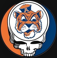 (2) Auburn Tigers Grateful Dead Stealie Skull Vinyl Stickers 4x4 Car Decals