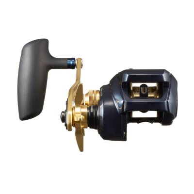 Daiwa TIERRA LJ IC200H Baitcasting Fishing Reel | eBay