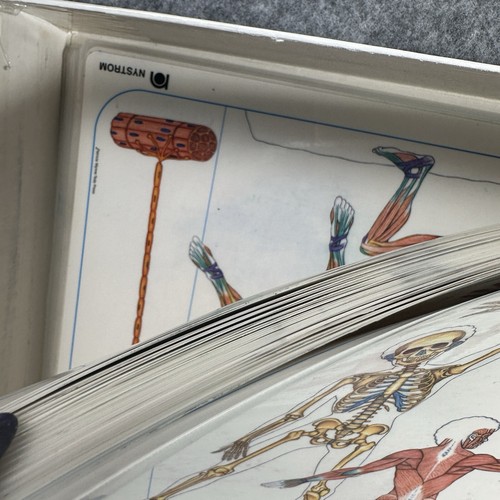 Nystrom Science Body Systems Skeletal Muscular Curriculum Homeschool Vintage - 第 8/12 張圖片