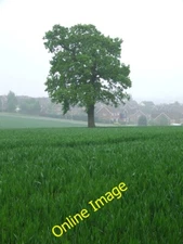 Photo 6x4 Single Tree Haverhill/TL6645 Single tree in farmers field near c2012