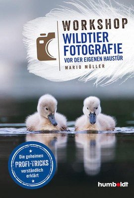 Workshop Wildtierfotografie vor der eigenen Haustür | Mario Müller | 2021