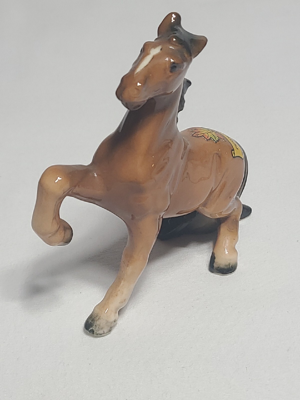 Picture 5 of 22