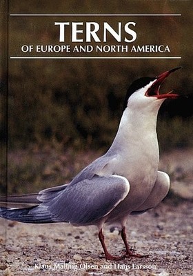 TERNS OF EUROPE AND NORTH AMERICA By Klaus Malling Olsen & Hans Larsson *VG+*