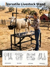 47" Heavy-Duty Steel Goat Milking Stand, Adjustable Headpiece  Legs, Feed Bin