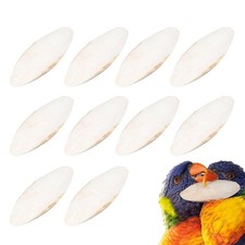 10/20PCS Calcium Cuttlebone Cuttlefish Bone Sepia/Cuttle/Fish/Bird Pet Food