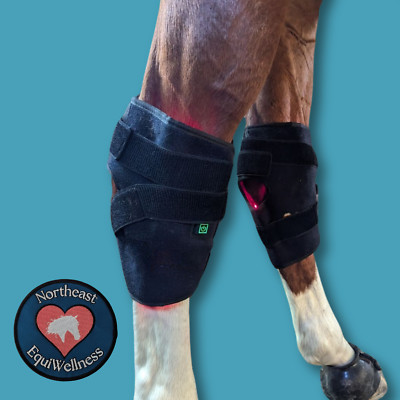 The ''Hock Helper'' - (1) Red / Near-Infrared Light Therapy Hock Wrap for Horses
