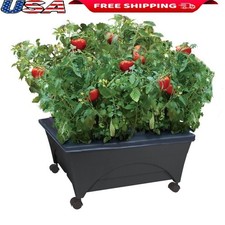 City Picker Raised Bed Grow Box Self Watering Mobile Garden W/ Casters New